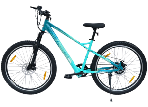 Voltic X Electric Bicycle